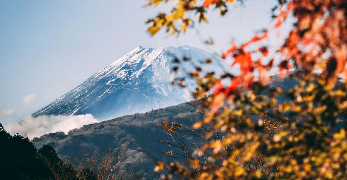 1-Day Mt Fuji and Hakone Sightseeing trip from Tokyo - Key Stops That Make This Day Feel Worth It