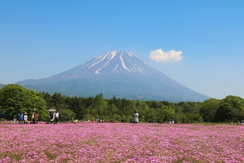 1-Day Mt Fuji and Hakone Sightseeing trip from Tokyo - Chureito Pagoda: One Hour of Classic Japan, Done Efficiently