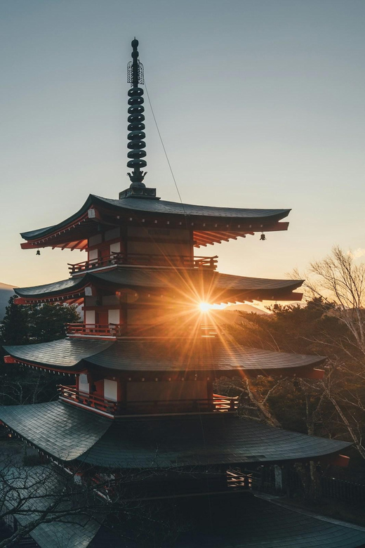 1-Day Mt Fuji and Hakone Sightseeing trip from Tokyo - Oishi Park: Shopping Time Plus Fuji Views on a Viewpoint-First Route