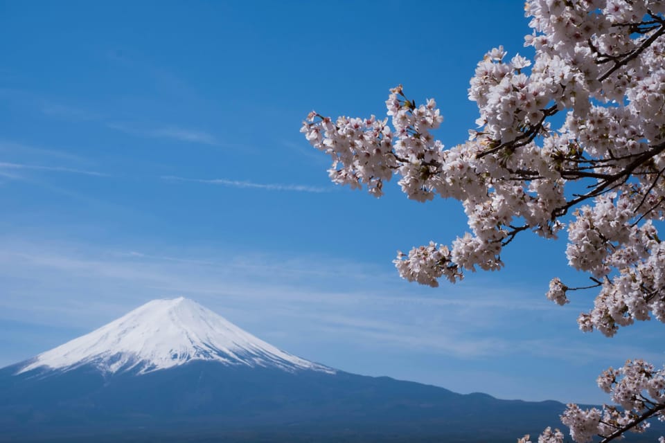 1-Day Mt Fuji and Hakone Sightseeing trip from Tokyo - Pickup, Drive, and What a Luxury Car Changes