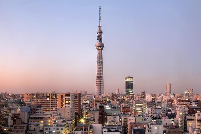 1 Day Private Charter Tokyo Tour (Green Number Plates) - Key highlights worth planning for