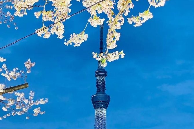 1 Day Private Charter Tokyo Tour (Green Number Plates) - Price and value: when $400 for up to 5 makes sense