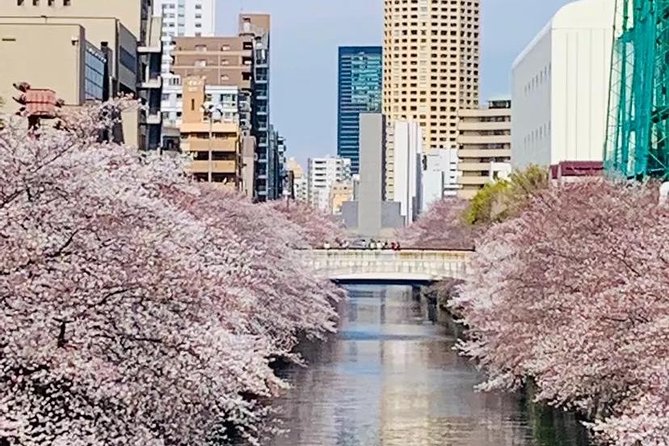 1 Day Private Charter Tokyo Tour (Green Number Plates) - Stop-by-stop: Senso-ji and Asakusa’s old-town rhythm
