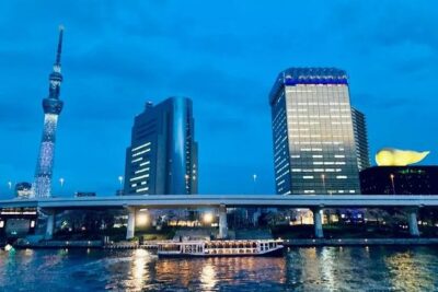1 Day Private Charter Tokyo Tour (Green Number Plates) - The flow of your day: pickup, your guide, and how you’ll actually tour