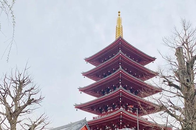 1 Day Private Charter Tokyo Tour (Green Number Plates) - Tokyo Skytree: big views, extra tickets