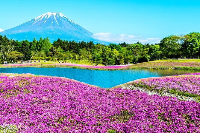1 Day Tour Explore Nikko’s World Heritage and National Park - Shinkyo Bridge: the UNESCO gateway and the one fee you must plan for