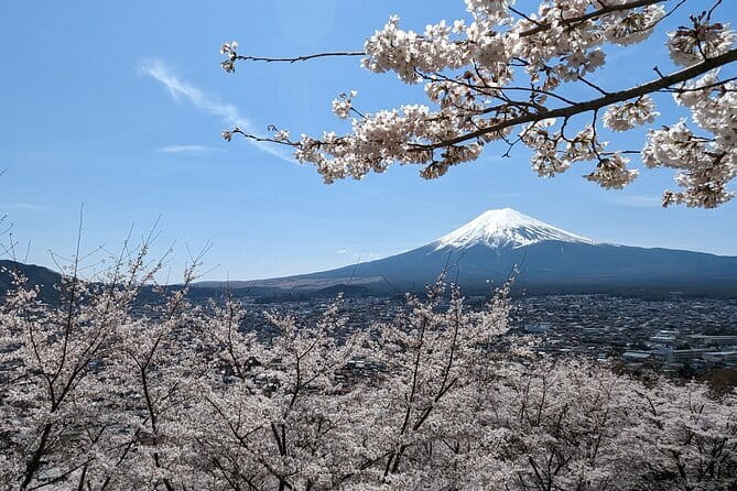 1 Day Tour Explore Nikko’s World Heritage and National Park - What 10 hours 35 minutes feels like in practice