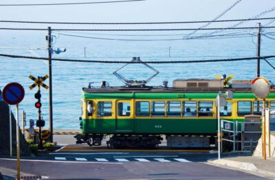 1-Day trip: Kamakura City (Enoshima/Shonan/Beach) - Temples and shrines that anchor the Kamakura side of the day