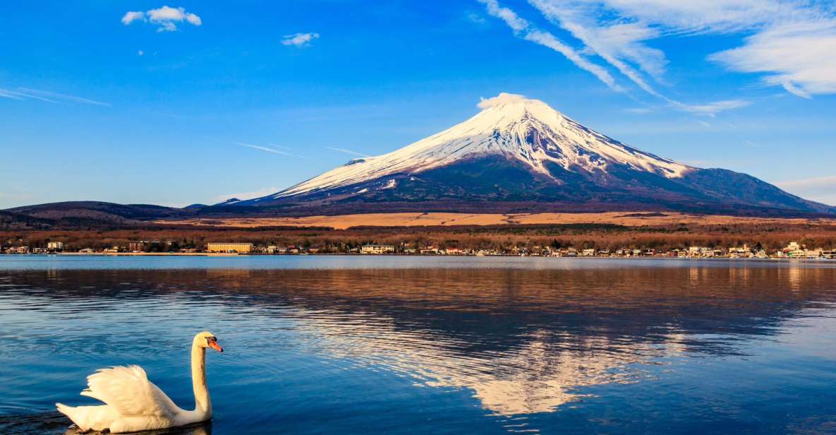 1-Day trip: Mt Fuji + Kawaguchi Lake area - Key Highlights You’ll Actually Feel During the Day