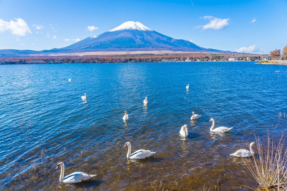 1-Day trip: Mt Fuji + Kawaguchi Lake area - The 2-Hour Ride to Lake Kawaguchi (and Why Timing Can Shift)