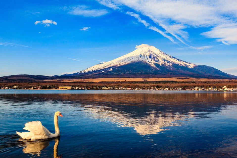 1-Day trip: Mt Fuji + Kawaguchi Lake area - Price and What You’re Really Paying For (Not Just the Sticker)