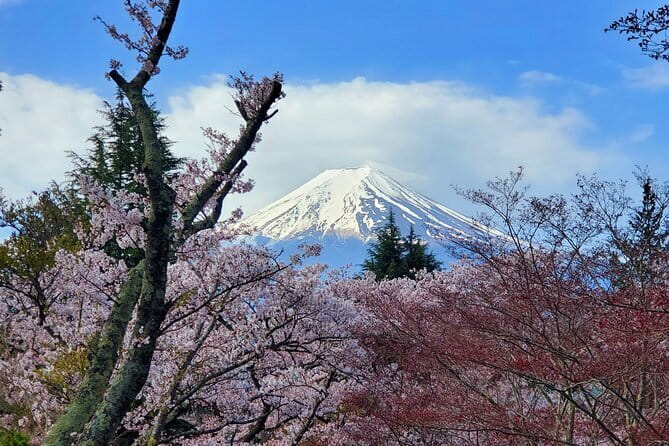 3 Days Tokyo, Mt. Fuji and Hakone Private Tour from Tokyo - Private door-to-door travel from Tokyo (and why it matters)