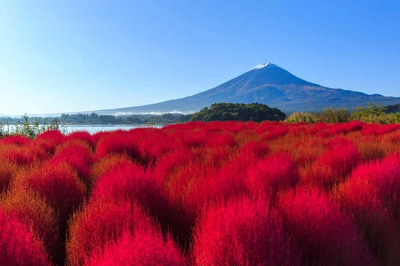 3-Row Luxury Bus Tour to Mt. Fuji, Lake Kawaguchi from Tokyo - Chureito Pagoda Viewpoints: A Classic That Rewards Patience
