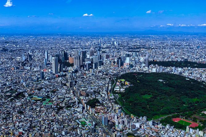 75-Min Mt. Fuji Half Day Private Helicopter Tour - What the Experience Feels Like in Practice