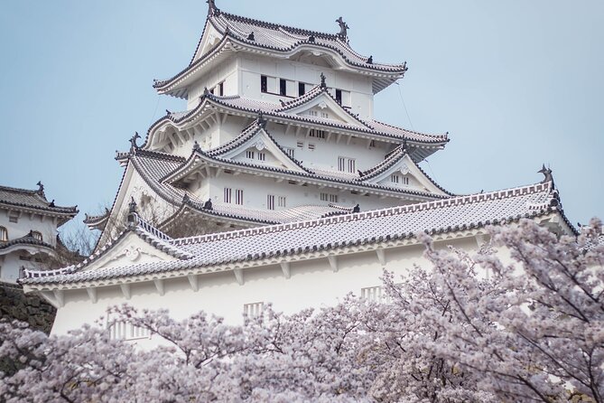 9-Day Japan and South Korea Highlight Tour - Mt. Fuji day: Chureito Pagoda stairs to Saiko’s thatched village