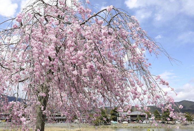 9-Day Japan and South Korea Highlight Tour - Seoul with two different moods: alley food and palace ceremonies