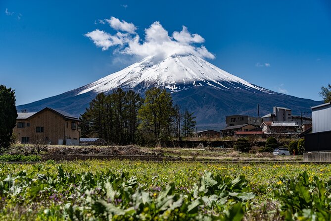 A class on Making Hoto, Yamanashi's Traditional Dish - Dietary Needs and Comfort Level: What You Can Plan For