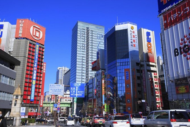 Akihabara Anime & Game Adventure Walking Tour (Group or Private) - Key Things to Know Before You Go