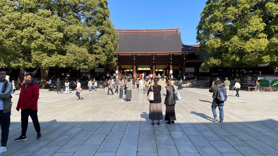Awesome Private Tour: Tsukiji, Asakusa, Shinjuku, Shibuya - Tsukiji Outer Market: where your guide helps you eat smart