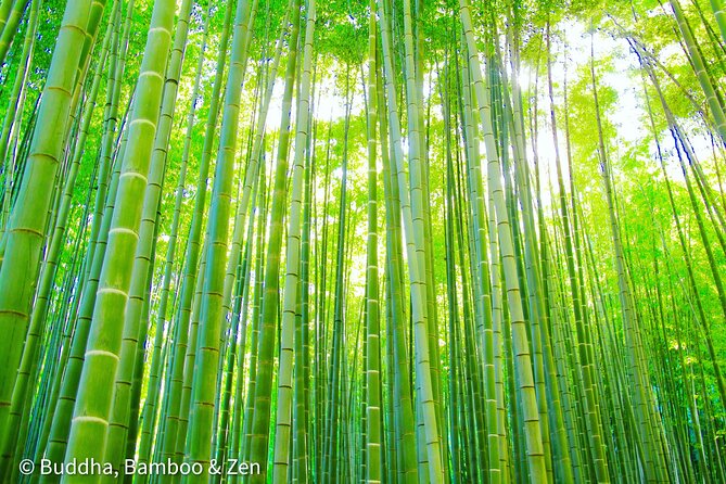 Buddha, Bamboo & Zen - Bespoke Kamakura Private Walking Tours - Private and Bespoke: What the Walking Plan Feels Like