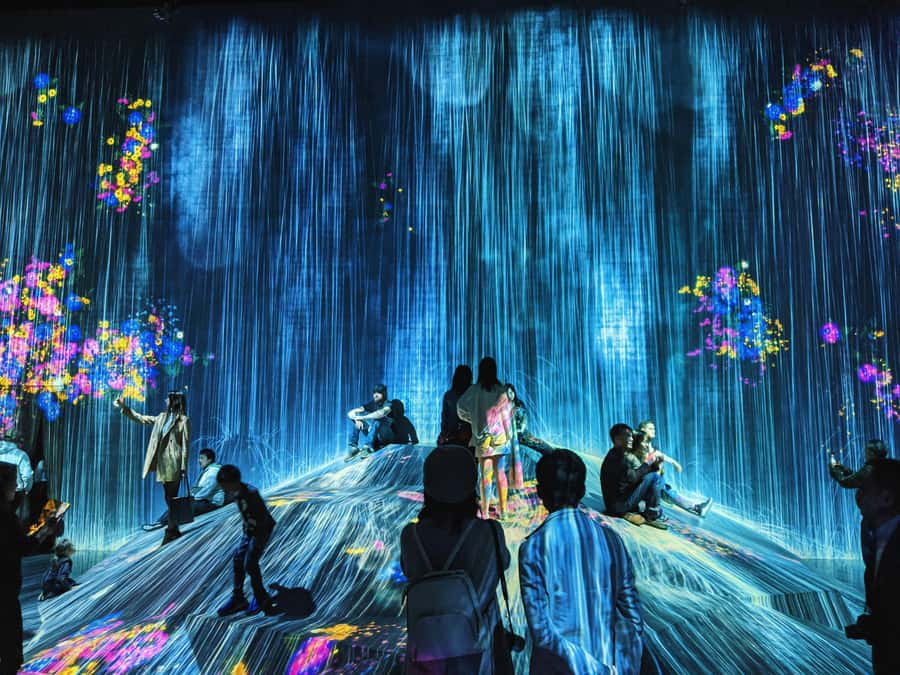 Crowd-Free Tokyo : teamLab, Roppongi Hills Views & NACT - Price and value: why $129 can make sense here