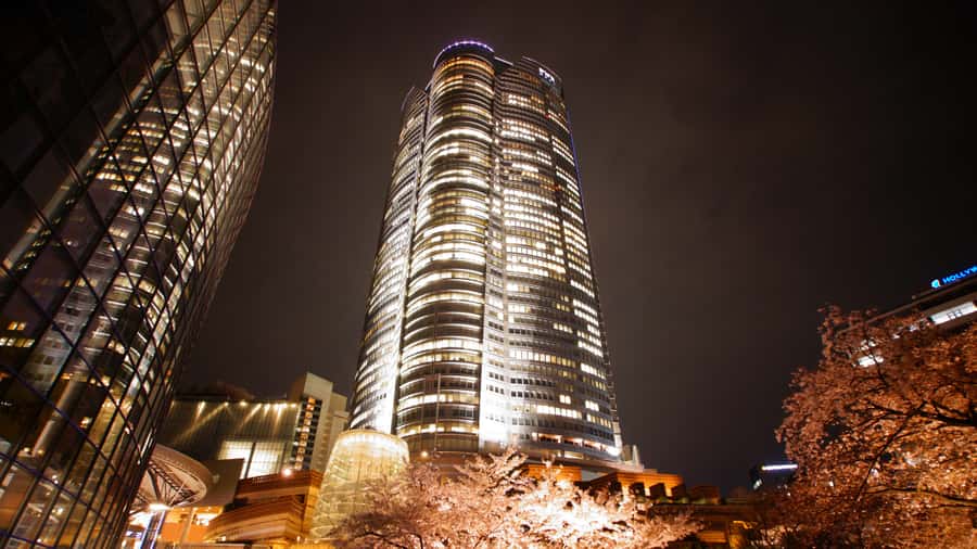Crowd-Free Tokyo : teamLab, Roppongi Hills Views & NACT - Who this tour suits best (and who should skip it)