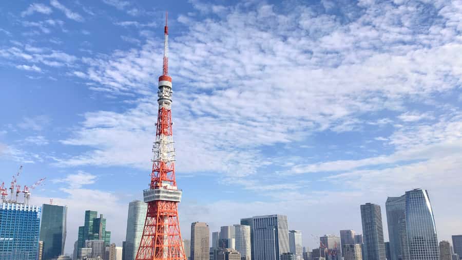 Crowd-Free Tokyo : teamLab, Roppongi Hills Views & NACT - Practical tips to make your afternoon smoother