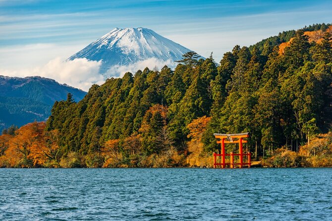 Customizable Private Full Day Hakone Tour by car - Key highlights worth getting excited about