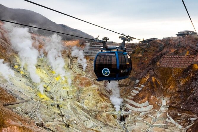 Customizable Private Full Day Hakone Tour by car - Why this private Hakone day feels worth the price