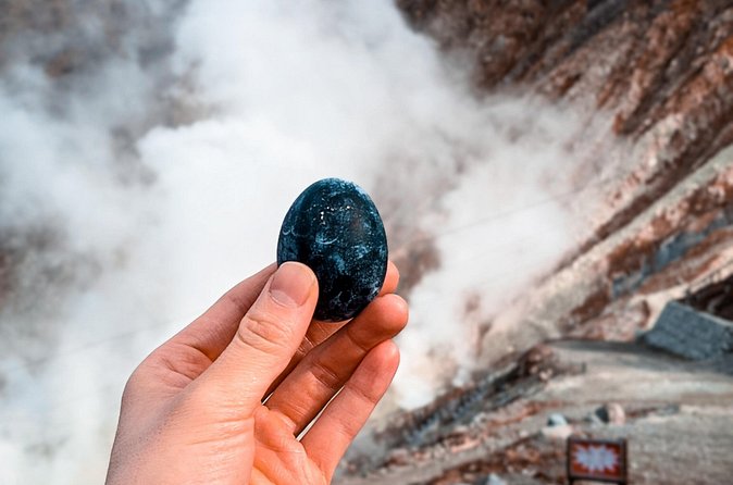 Customizable Private Full Day Hakone Tour by car - What’s included vs. what you must budget for