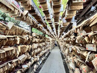 Day Tour from Tokyo : Experience Kawagoe and Edo Japan - Meeting at Ikebukuro and getting on the right train