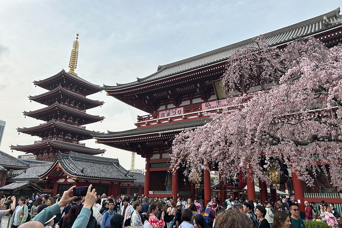 Discover the hidden gems of Tokyo:Private Tour with a Local Guide - Ueno Park and the shrine trio: calm, learning vibes, and luck myths