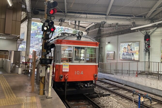 Do You Want to Try Skywalk? A New Way of Enjoying Hakone! - Stop 1: Ajisai Bridge near Hakone-Yumoto Station