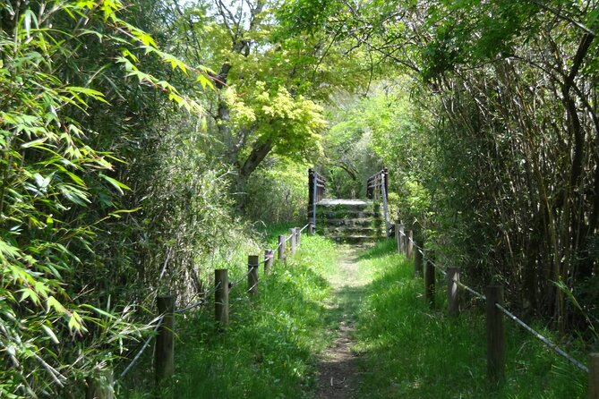 Easygoing Nature Walk in Hakone Tour - Key highlights you’ll feel during the walk