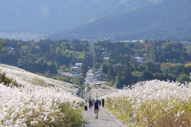 Easygoing Nature Walk in Hakone Tour - Why this easy Hakone nature walk feels different