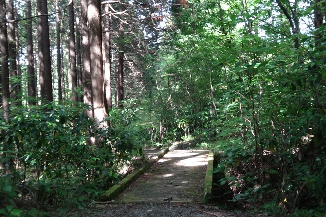 Easygoing Nature Walk in Hakone Tour - The Hakone Visitor Center: get your bearings fast