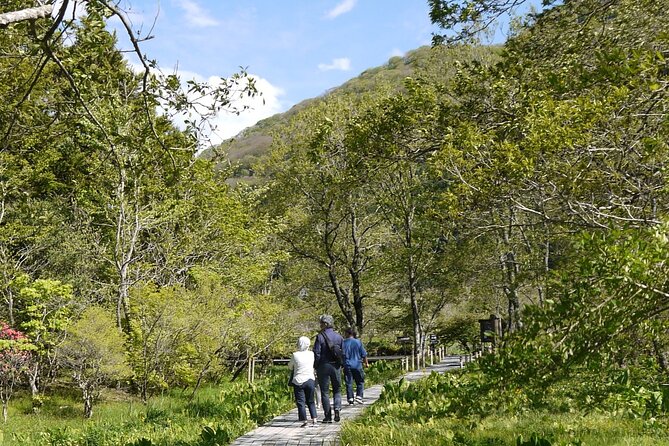 Easygoing Nature Walk in Hakone Tour - Meeting point and ending at Togendai station