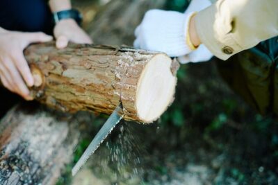 Ecotourism and Woodcraft with a Mountain Artist Near Tokyo - Kirari (木楽里): learning Nishikawa timber from a mountain artist