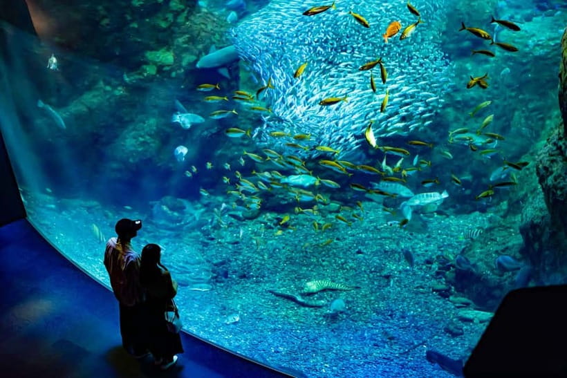 Enoshima Aquarium: Admission Ticket - Key Things That Make Enoshima Aquarium Worth Your Time