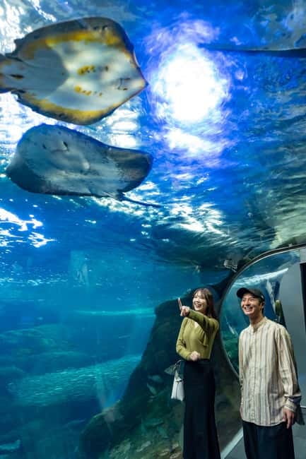 Enoshima Aquarium: Admission Ticket - First, Find Your Way: Location and Getting There