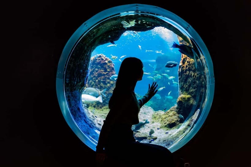 Enoshima Aquarium: Admission Ticket - Ticket Value: What $18 Buys You for One Day