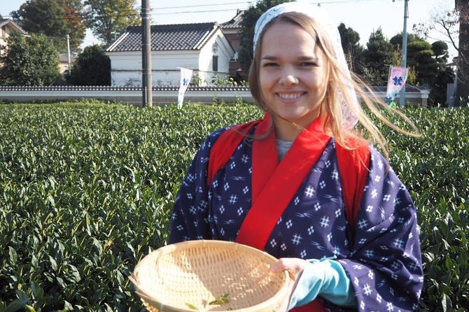 Experience Seasonal Green Tea Picking in Sayama and Nostalgic Walk in Kawagoe! - Who This Tour Suits Best (and Who Might Not)
