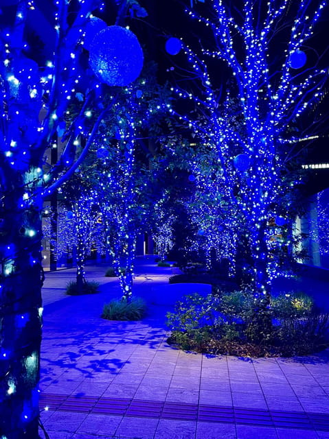 Find Yokohama's Hidden Gem: Walking Tour with Local Guide - What walking this route is really like