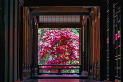 First time in Kamakura? Enjoy a Tour of All Must-sees! - Price and What It Buys You (and What It Doesn’t)