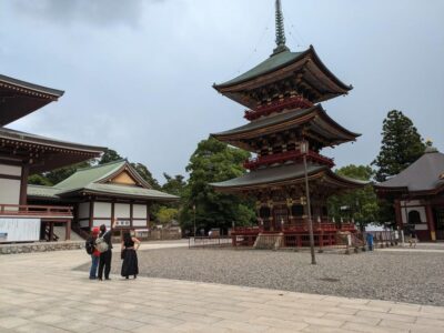 From Narita Airport: Private Layover or Transit Guided Tour - Pickup points: where you meet and how the day starts