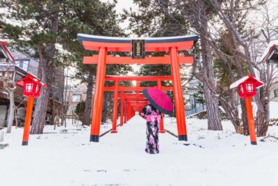 From Osaka: Kyoto & Nara Highlights Day Tour (7 attractions) - Nara Park Deer Time: Friendly Animals and Easy First Photos