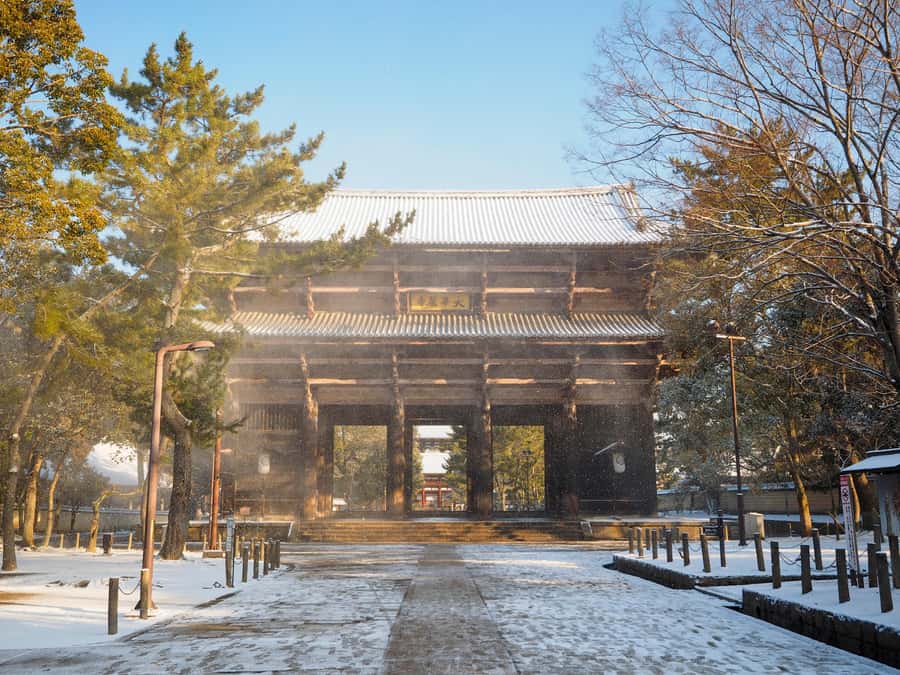 From Osaka: Kyoto & Nara Highlights Day Tour (7 attractions) - Byodoin Temple and Uji Omotesando: The 10-Yen Moment Plus Matcha Break