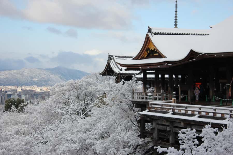 From Osaka: Kyoto & Nara Highlights Day Tour (7 attractions) - Fushimi Inari Taisha Torii Tunnels: Walk the Gates, Control Your Pace