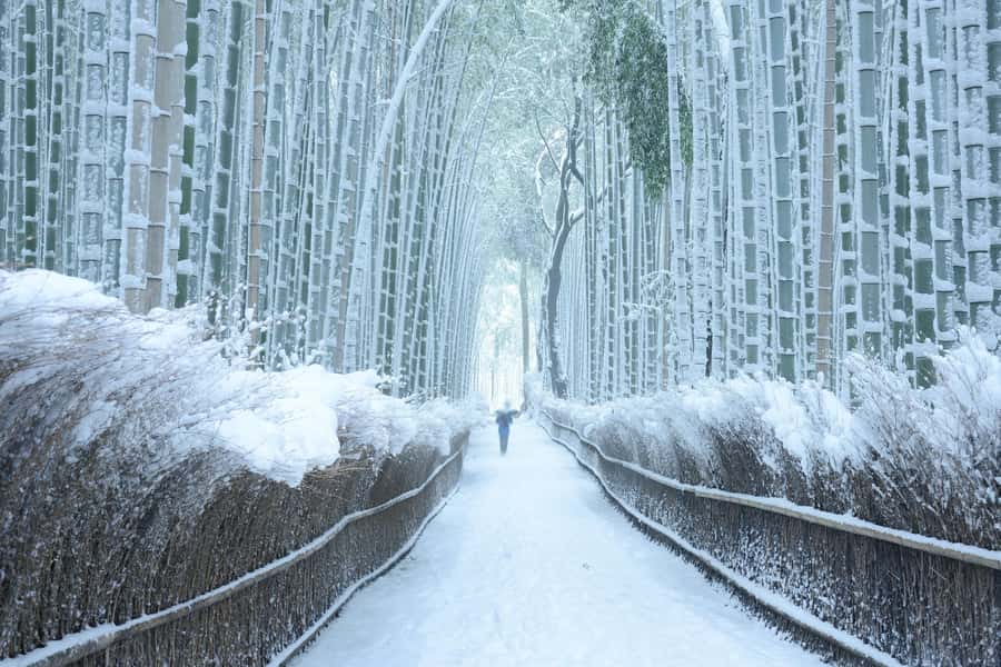 From Osaka: Kyoto & Nara Highlights Day Tour (7 attractions) - Kiyomizu-dera End-Point: The Wooden Stage and Kyoto Views