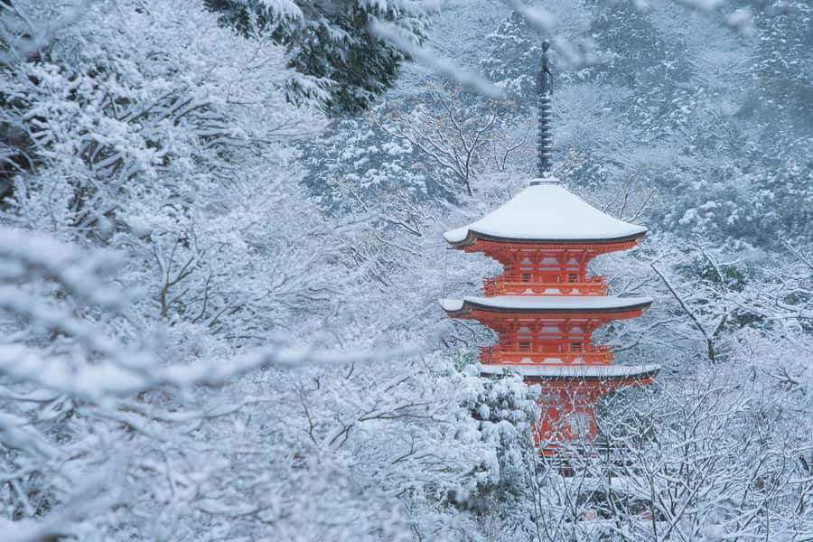 From Osaka: Kyoto & Nara Highlights Day Tour (7 attractions) - The Guides Make or Break It: What You’ll Feel in the Day